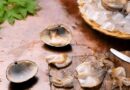 oyster milk: how is it used in cooking