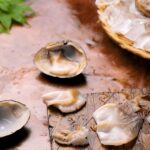 oyster milk: how is it used in cooking