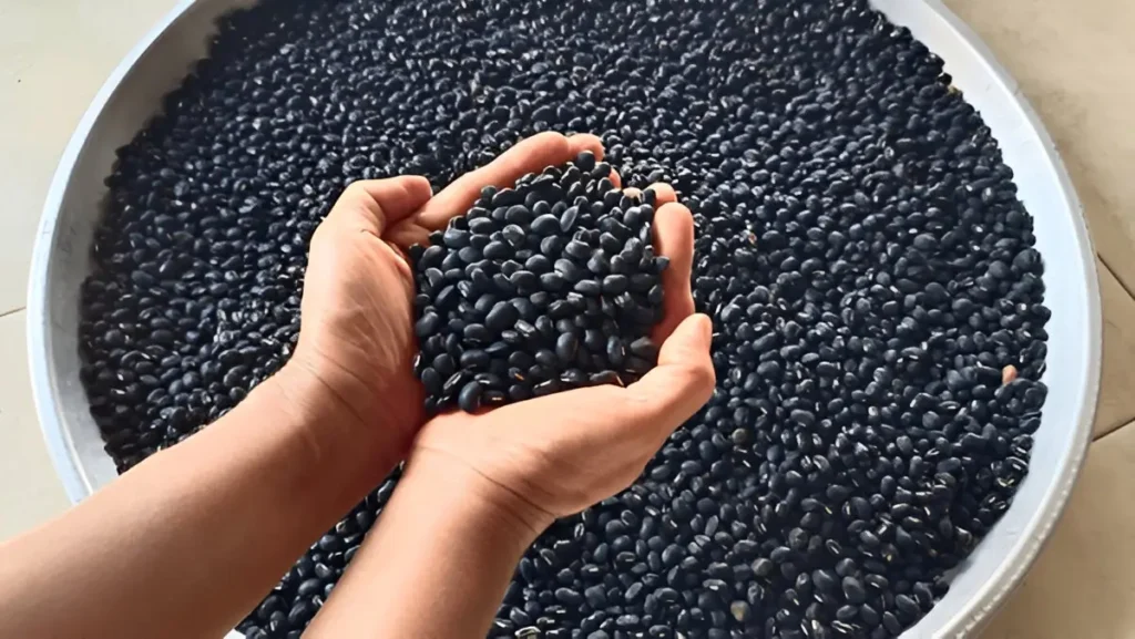 Black Beans