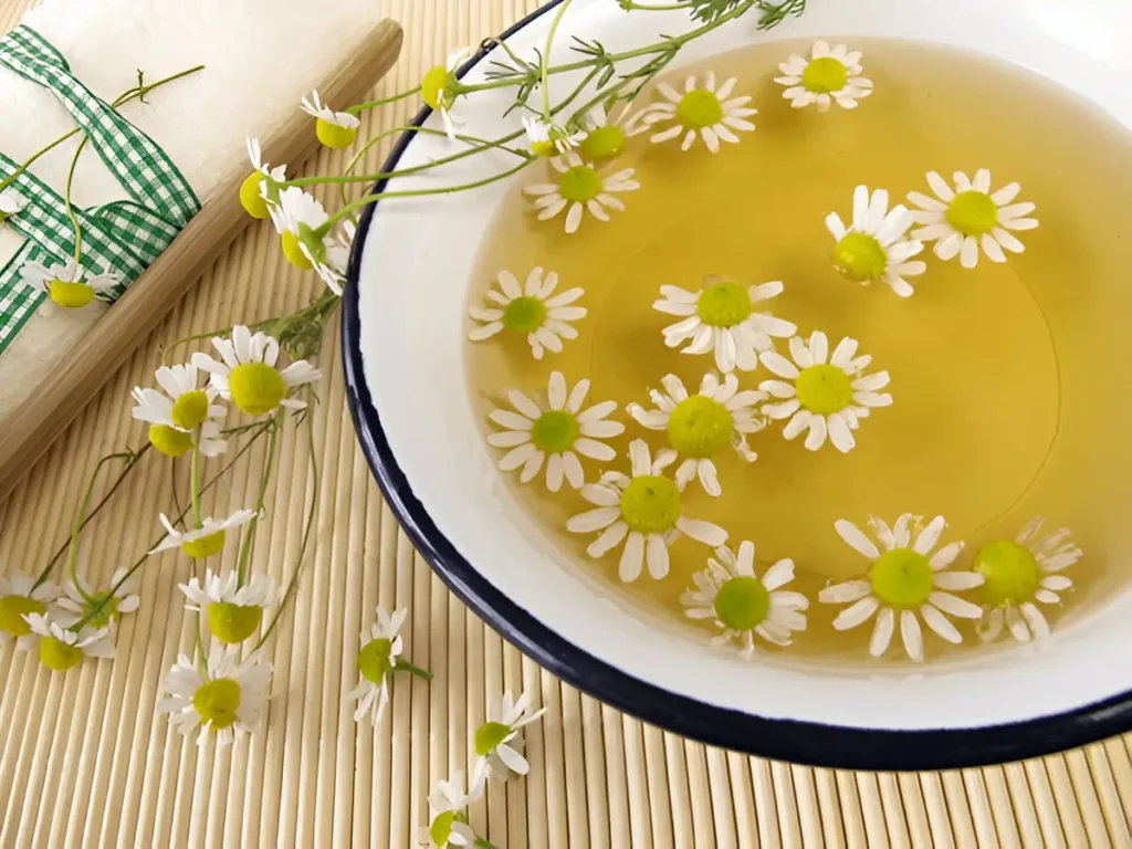 DIY Camomile Beauty and Wellness Products