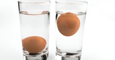 How to Tell If Eggs Are Bad 5 Easy Ways to Check Freshness at Home