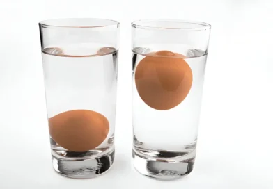 How to Tell If Eggs Are Bad 5 Easy Ways to Check Freshness at Home