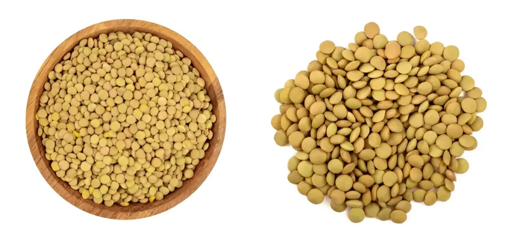 Lentils