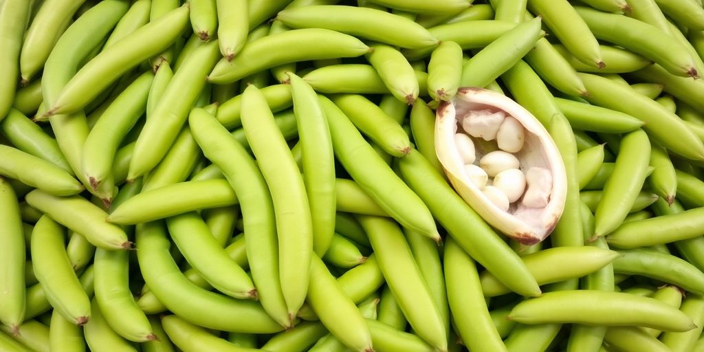 Pile of fresh lima beans with a few scattered.